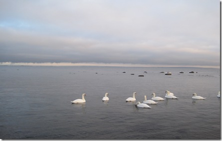 IMG_0356 IMG_0356