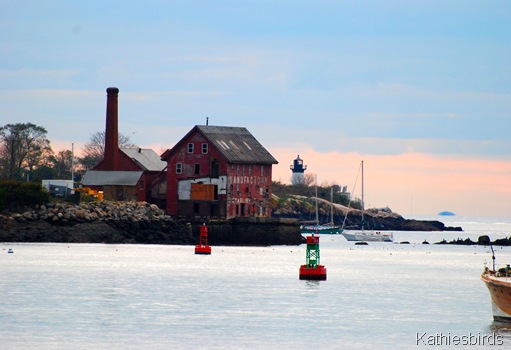 9. view from fishing pier-kab