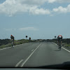 DSC00918.JPG