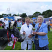 Cattle 002.jpg