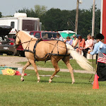 IMG_4817.JPG