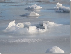 IMG_0362 IMG_0362