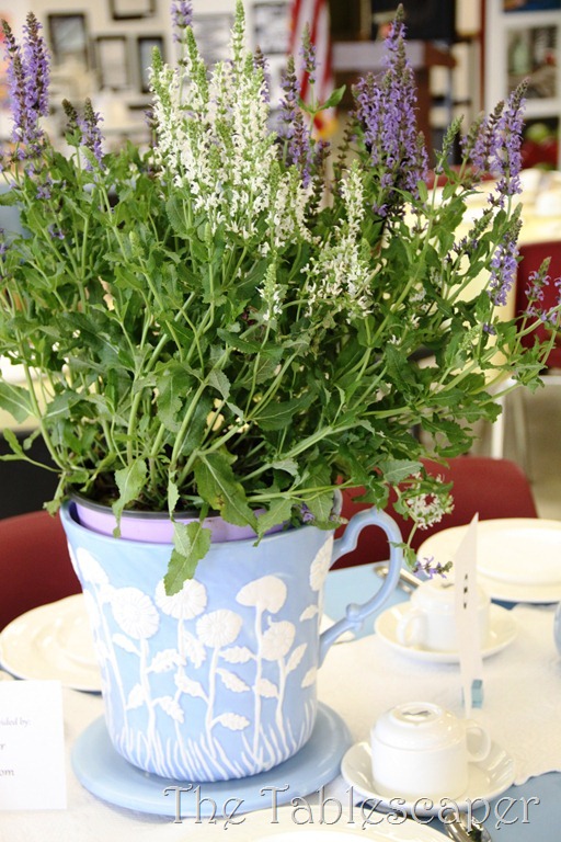 During Tea 071