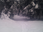 IMG_20120121_110016