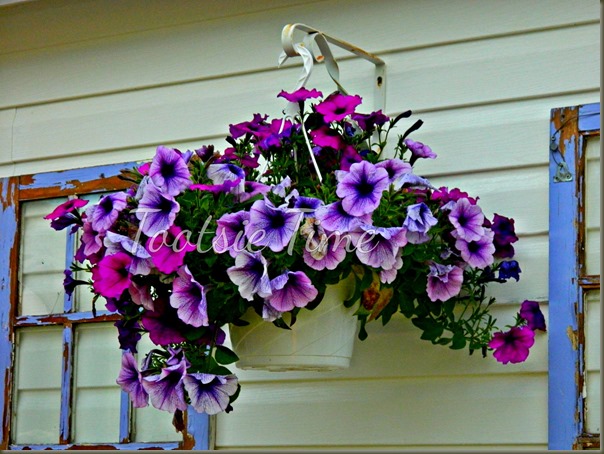 BeFunky_067.jpg BeFunky_067.jpg