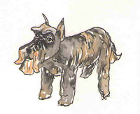 Scottie