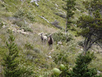 glacier_national_park_-_2009