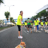 Pet Express Doggie Run 2012 Philippines. Jpg (47).JPG
