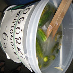 IMG_7710.JPG