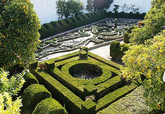Castelo Branco - Jardim do Paço Episcopal - jardim alagado 1