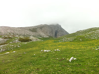 IMG_1334.JPG
