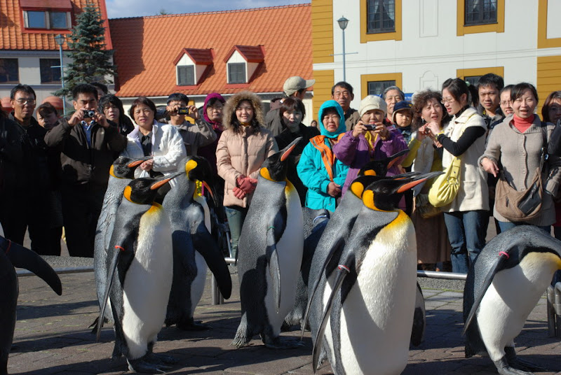 hokkaido_327.jpg