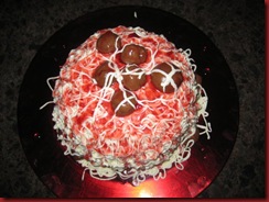Spaghetti (2)