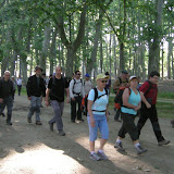 Imatge: 5� Cam� de Sant Jaume 2011