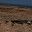 DSC_0261.jpg