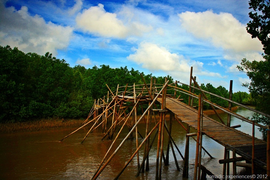 [IMG_8568%255B6%255D.jpg]