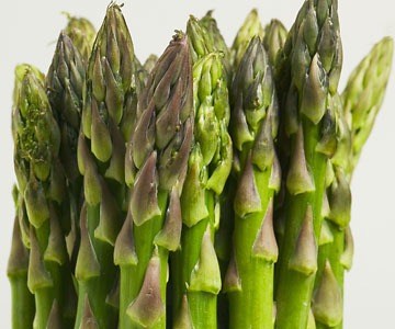[asparagus4.jpg]