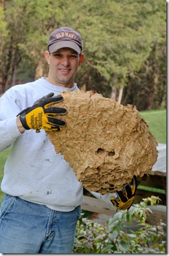 Hornet's Nest-6 Hornet's Nest-6