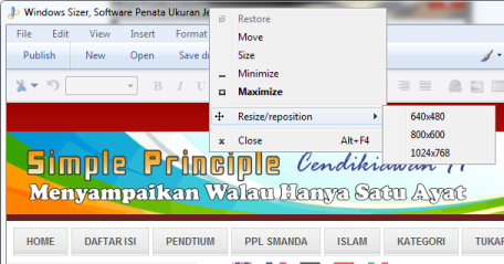 Windows Resizer - mboir