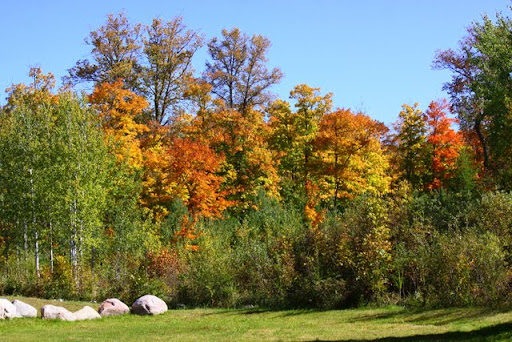 Fall at its finest