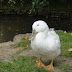 DSC07023.JPG
