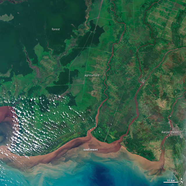 The image above shows a southern section of Kalimantan as it appeared on 16 July 2000. The natural-color view was acquired by the Enhanced Thematic Mapper Plus (ETM+) on the Landsat 7 satellite. Light green areas with gridlines of light brown show portions of rainforest that were cleared for palm oil plantations and roads. Dark greens show the remaining rainforest. NASA image by Jesse Allen, Robert Simmon, and Michael Taylor, using data from the USGS Global Visualization Viewer
