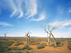 Sprachaufenthalt Australien