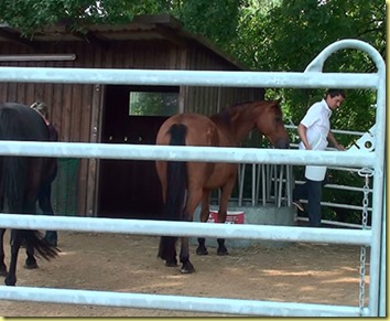 20140905144959-(1) 20140905144959-(1)