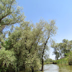 IMG_7735.JPG