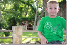 The Salt Lick Irons 012