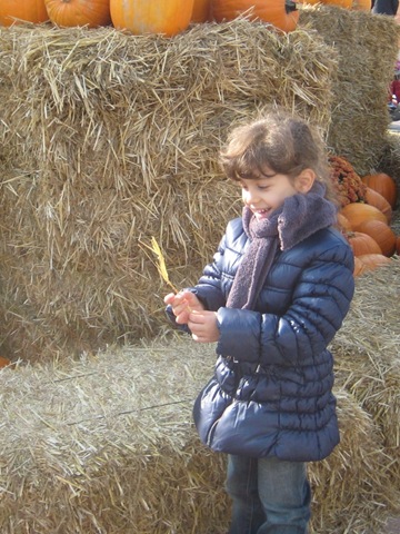 [IMG_5655%255B3%255D.jpg]