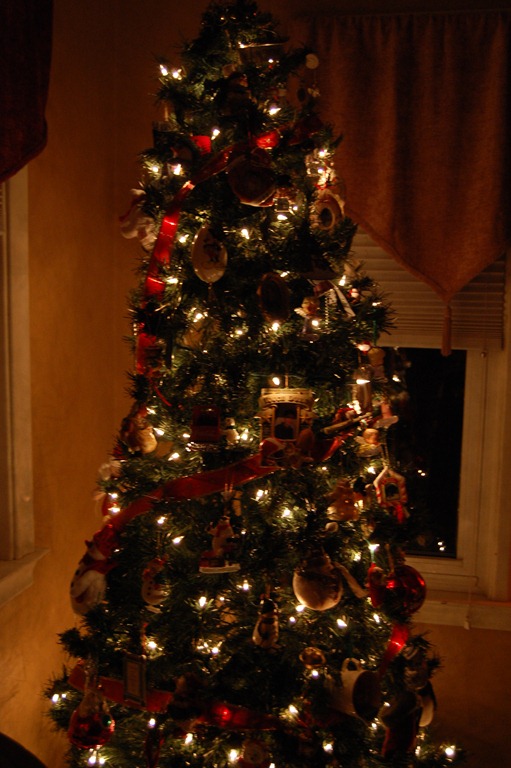 [DSC_0755%255B4%255D.jpg]