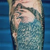 Eagle #2