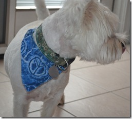 2012.03.25 Haircu (10)