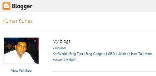blogger-profile-interface