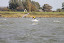 120930-iko-177.JPG