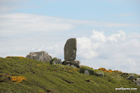 IMG_7973.JPG Photo