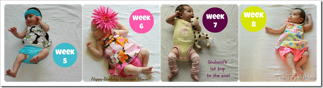month 2 Collage month 2 Collage