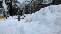 2011-01-28_16-19-41_472.jpg