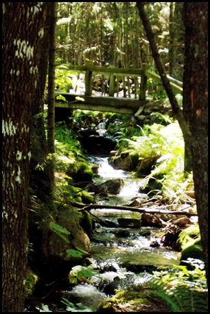 Witch Hole Pond, bike 3 stone bridges, 6 wooden 295