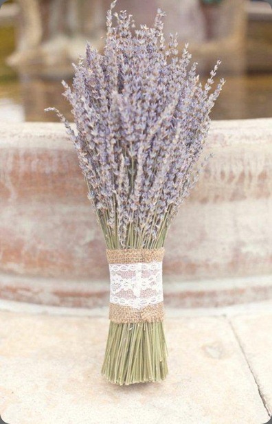 lavender red hill lavender farm3 imbue lavender red hill lavender farm3 imbue