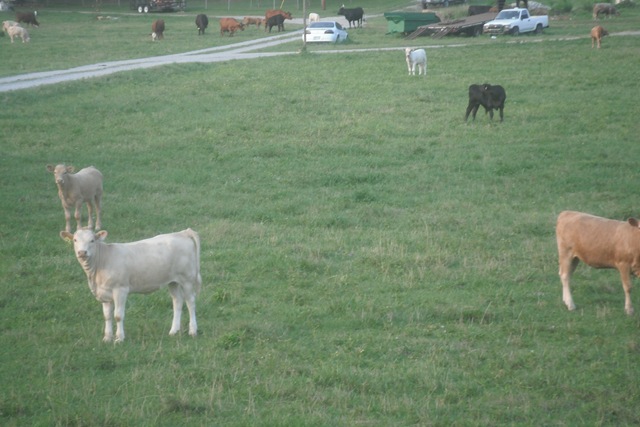 [Picture0873.jpg]