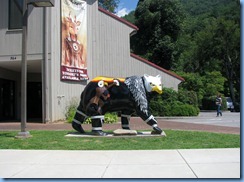 0441 North Carolina - US-441 - Cherokee Indian Reservation - bear statue