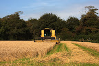 Harvest 2