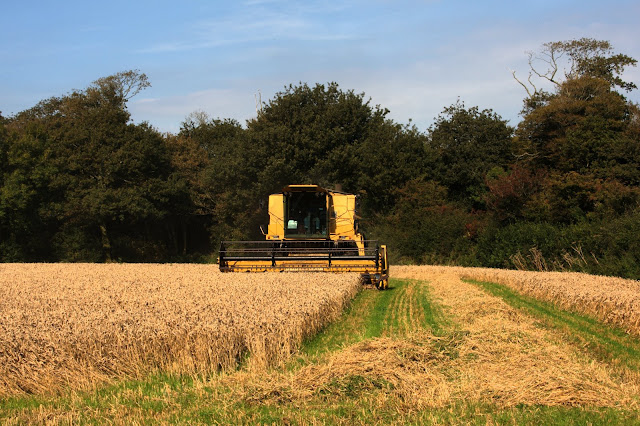Harvest 2