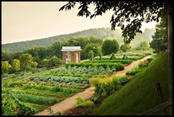 Jefferson's gardens2