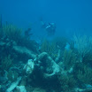  Scuba Dive Buck Island Reef
