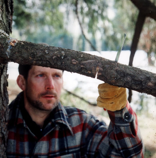 For pruning large branches, to avoid torn bark and to control branch fall, make three cuts. For pruning large branches, to avoid torn bark and to control branch fall, make three cuts.