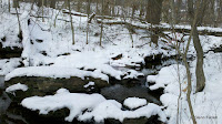 2010-12-29_11-45-19_48.jpg
