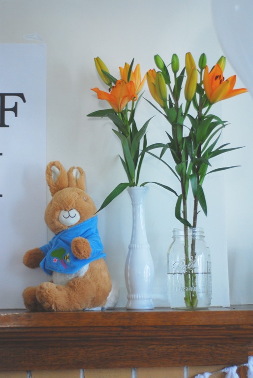 Peter Rabbit First Birthday Party